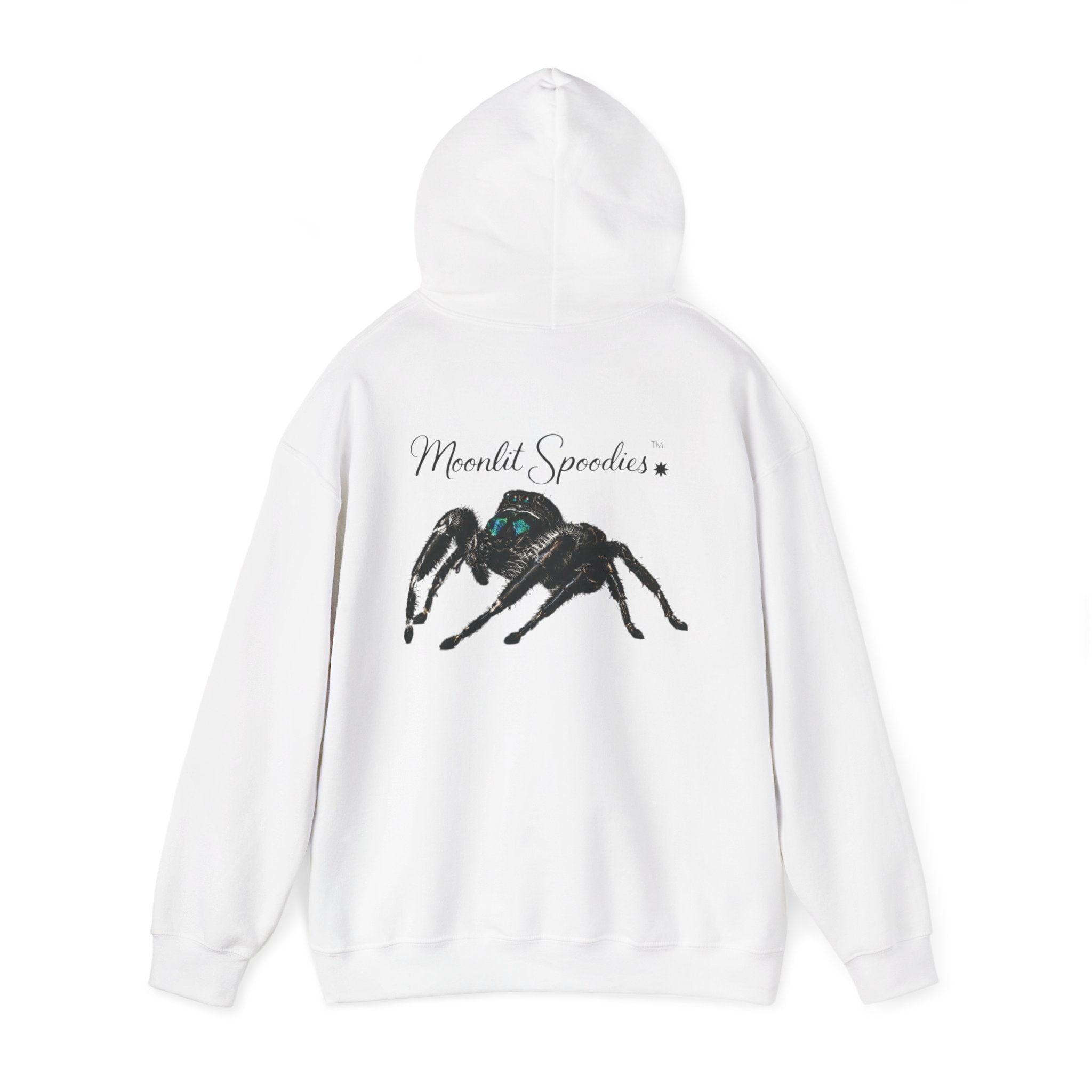 Spider Graphic Hoodie — 'Moonlit Spoodies' Cute Jumping Spider Design for Nature & Halloween Fans