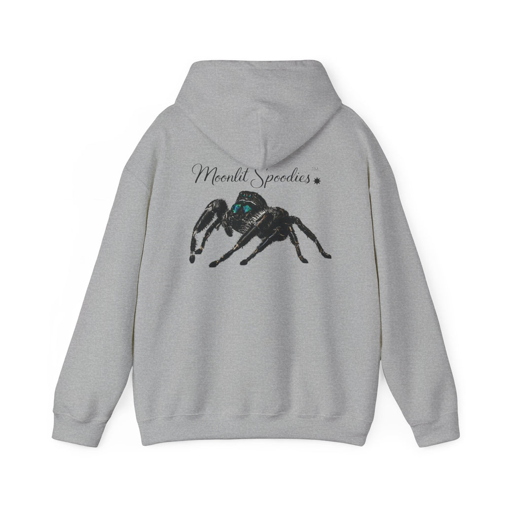 Spider Graphic Hoodie — 'Moonlit Spoodies' Cute Jumping Spider Design for Nature & Halloween Fans