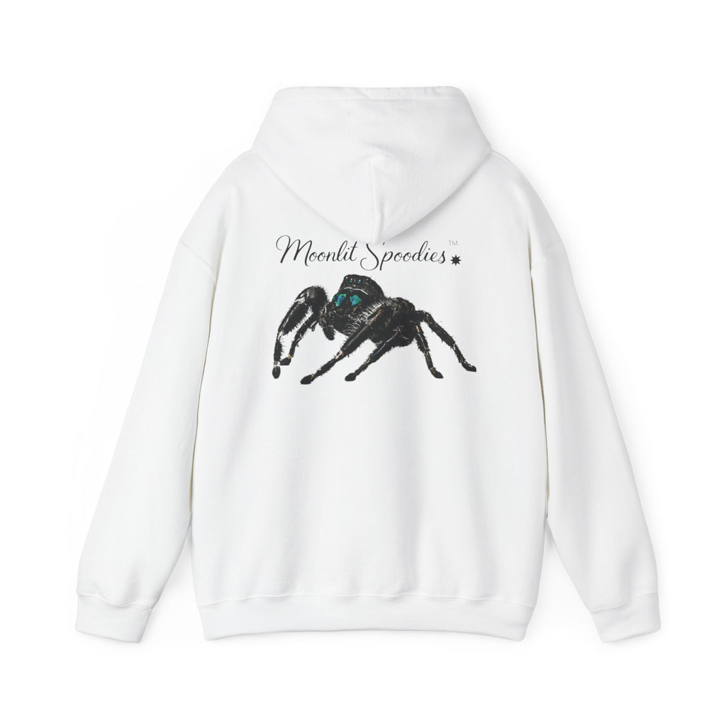 Spider Graphic Hoodie — 'Moonlit Spoodies' Cute Jumping Spider Design for Nature & Halloween Fans