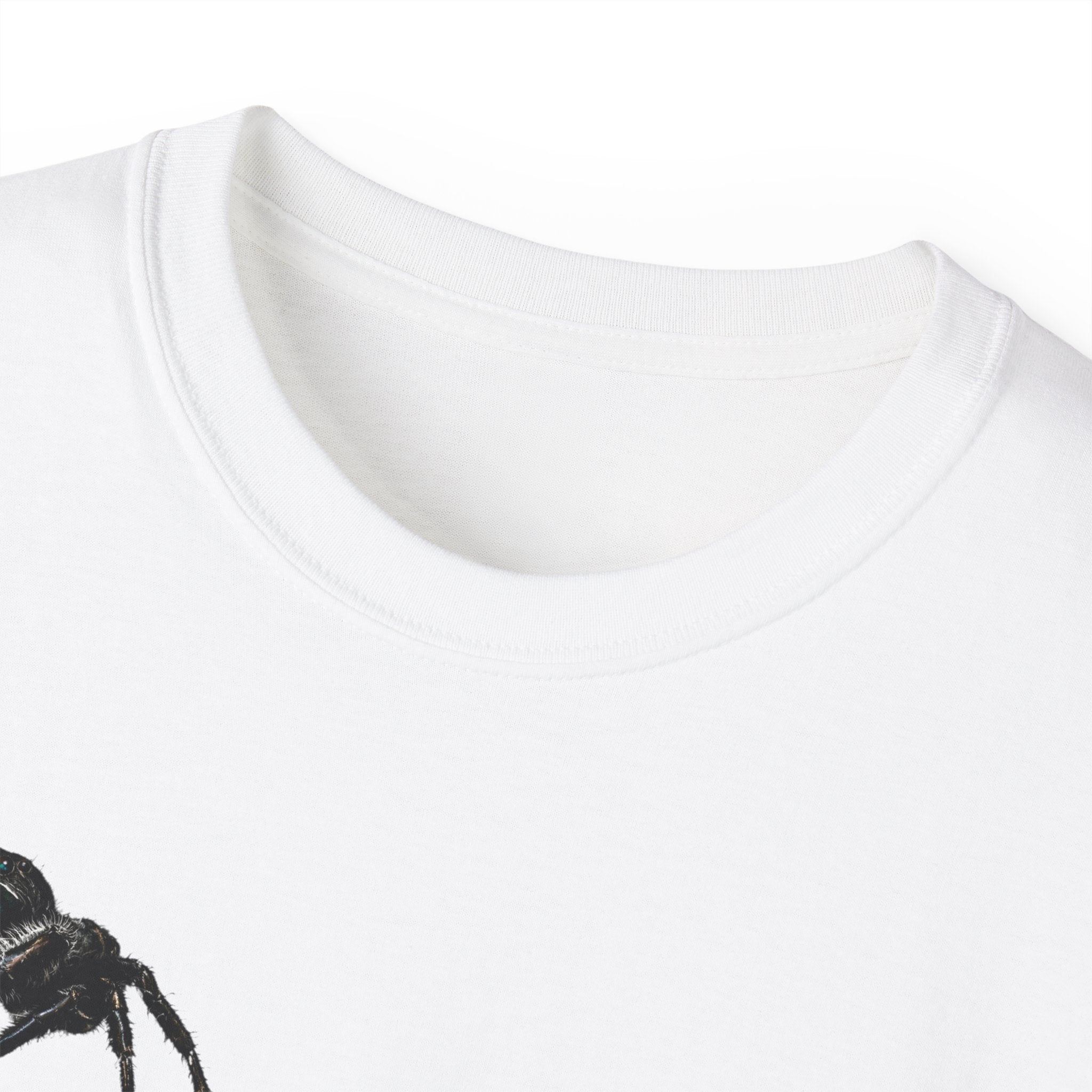 Spider Sketch Tee — Minimal Black Spider Graphic with 'Please Confirm' Text