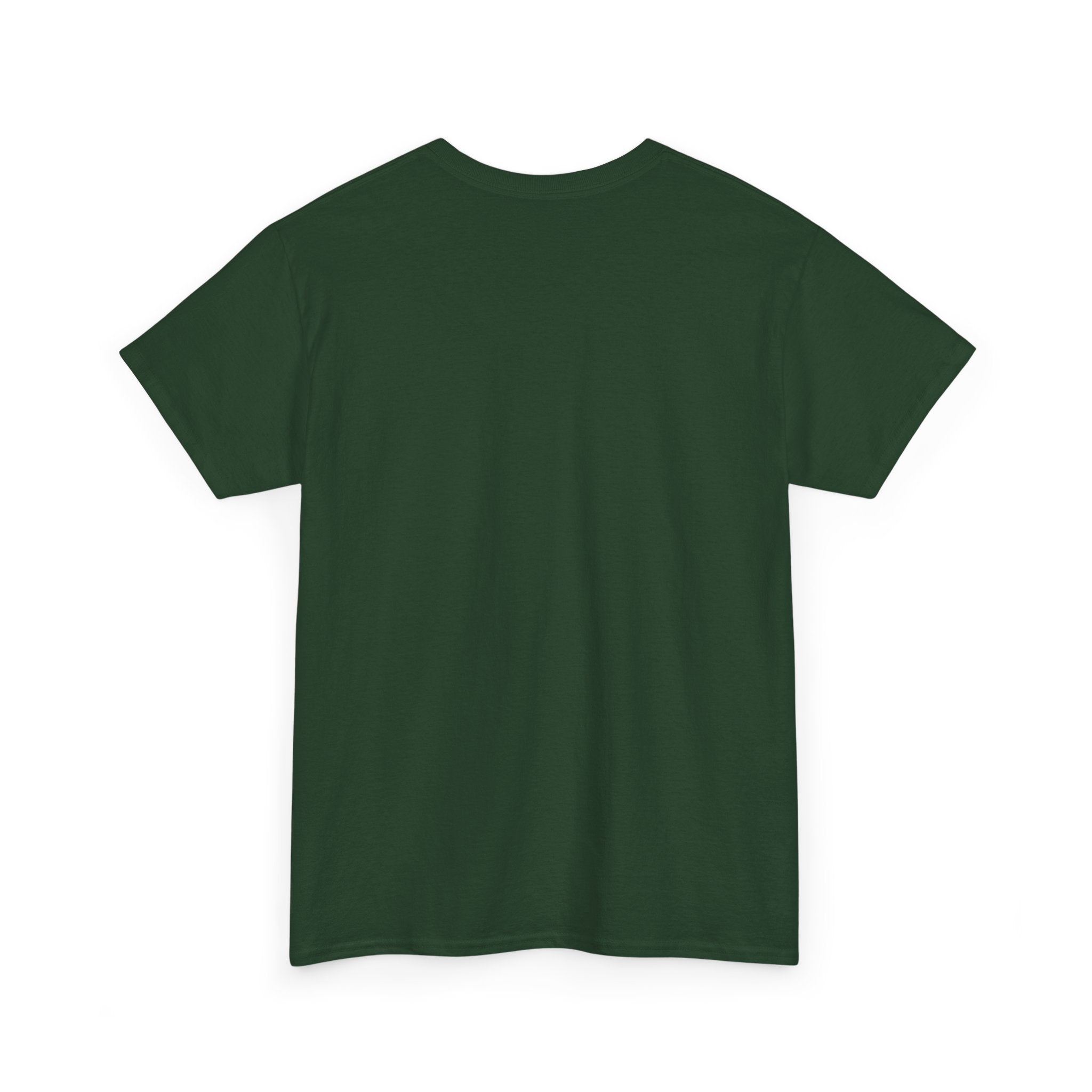 Jumping Spider 'Octokitty' T-Shirt — Hanako Investigates (Cute Arachnid Tee)