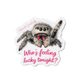 Die-Cut Magnet — Cute Jumping Spider "Who’s Feeling Lucky Tonight?" Refrigerator Magnet