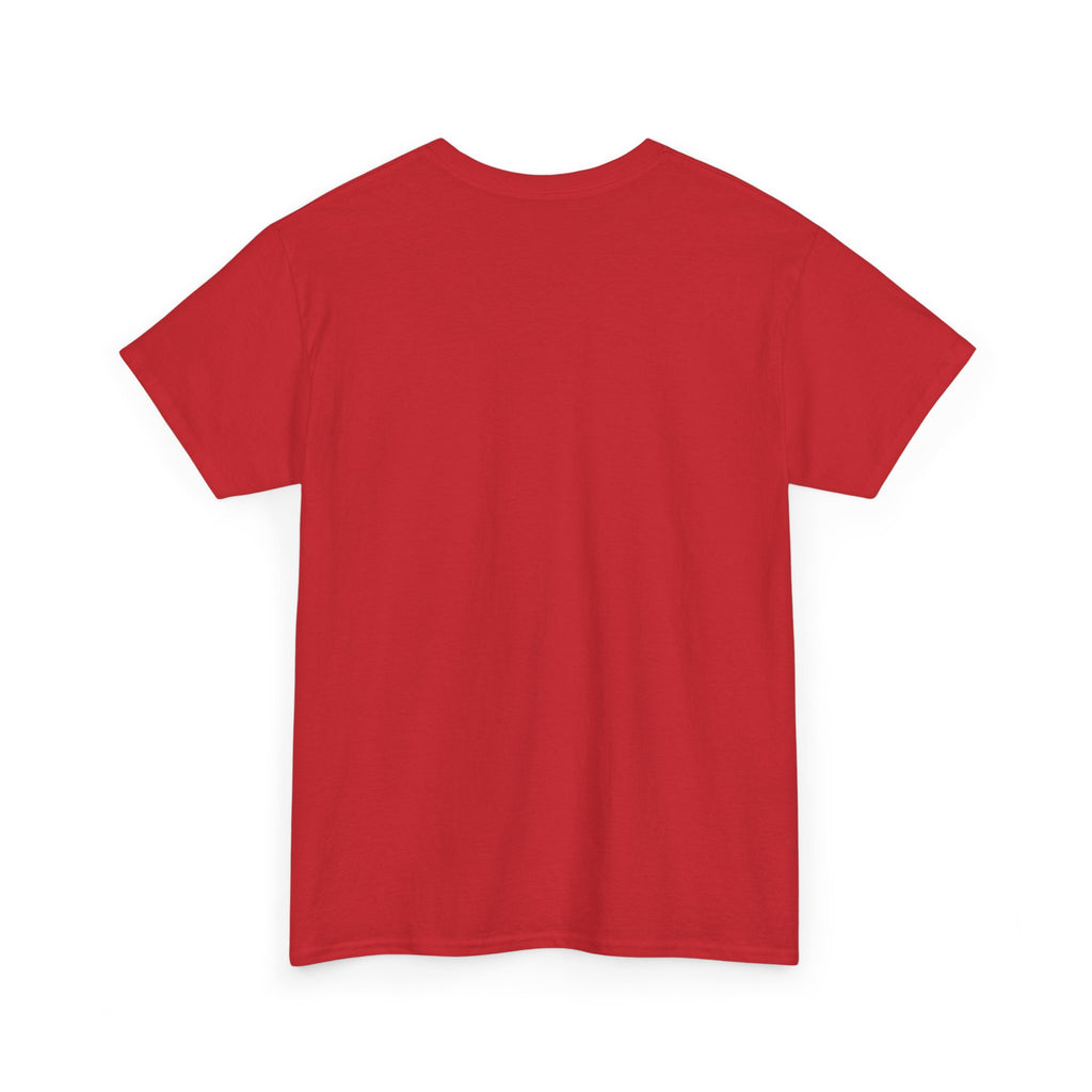 Jumping Spider 'Octokitty' T-Shirt — Hanako Investigates (Cute Arachnid Tee)