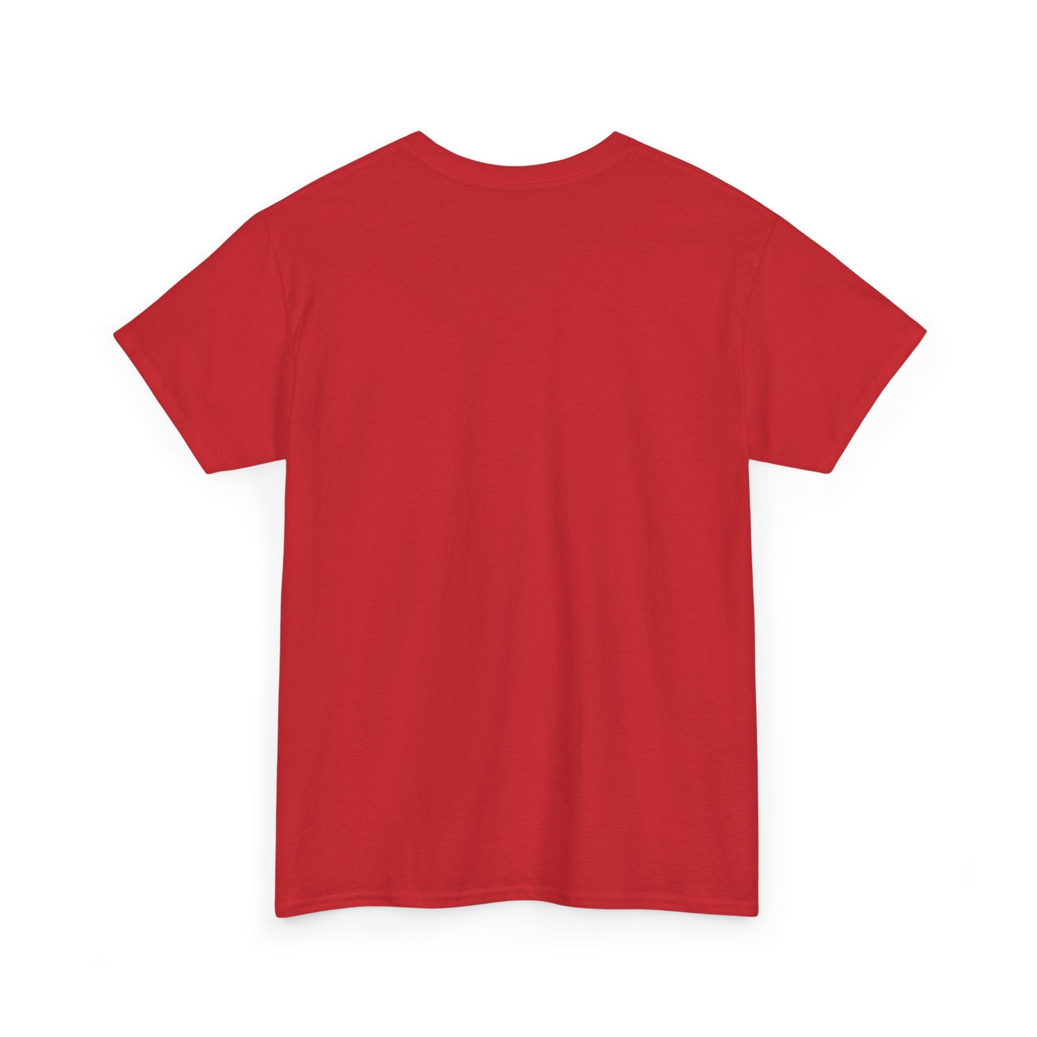 Jumping Spider 'Octokitty' T-Shirt — Hanako Investigates (Cute Arachnid Tee)