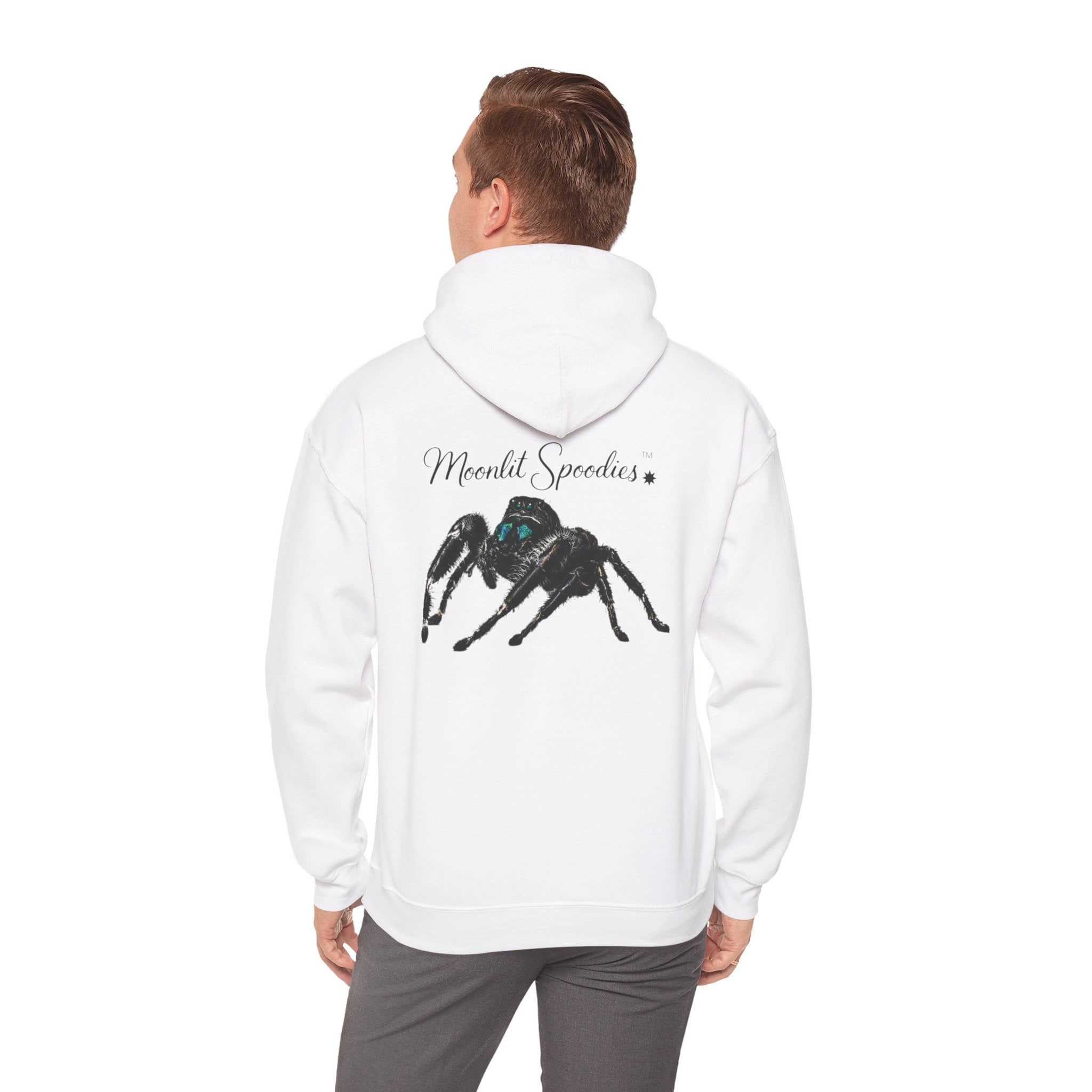 Spider Graphic Hoodie — 'Moonlit Spoodies' Cute Jumping Spider Design for Nature & Halloween Fans