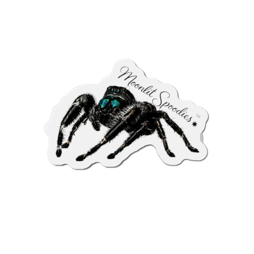 Jumping Spider Die-Cut Magnet — Cute Realistic Black Tarantula Fridge Magnet