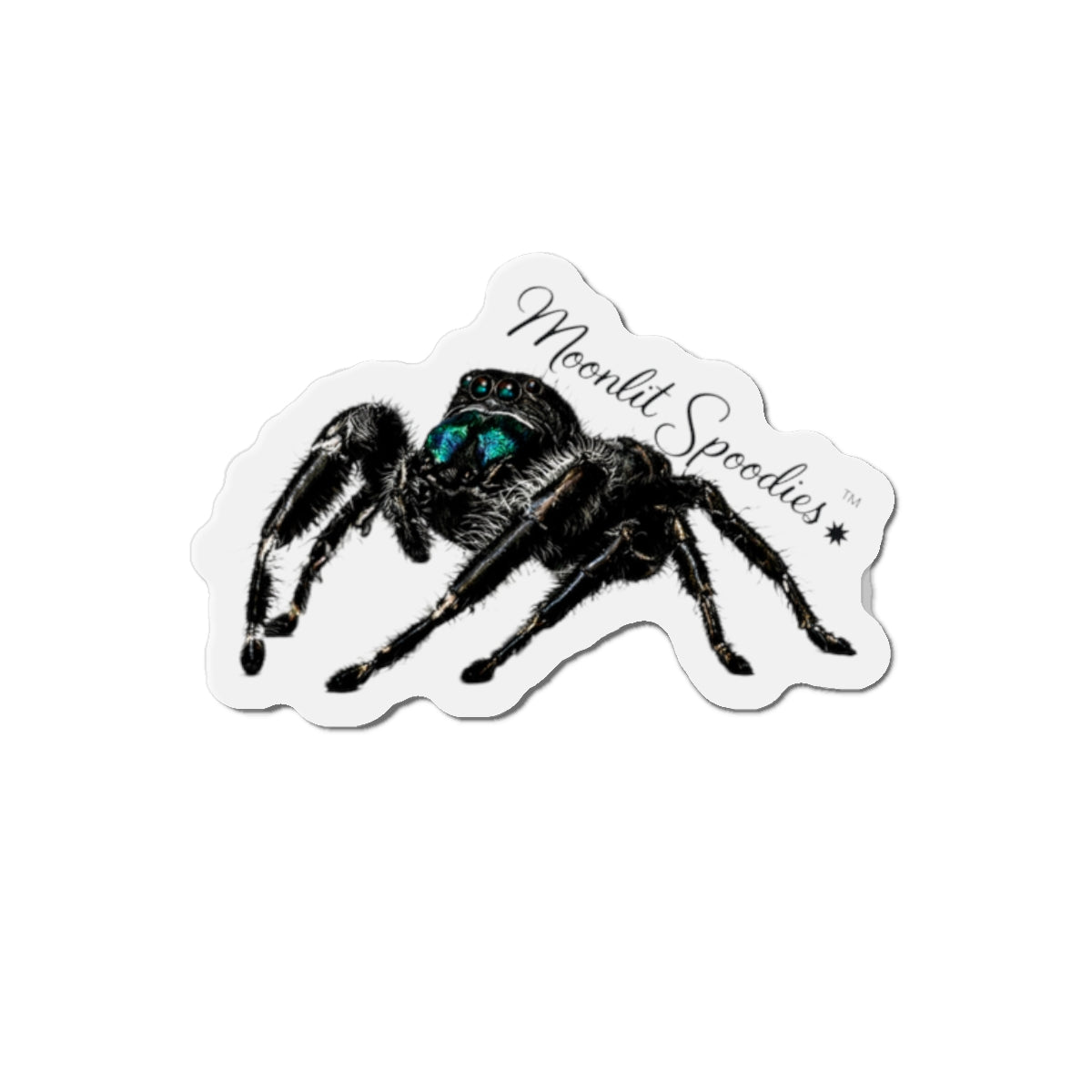 Jumping Spider Die-Cut Magnet — Cute Realistic Black Tarantula Fridge Magnet