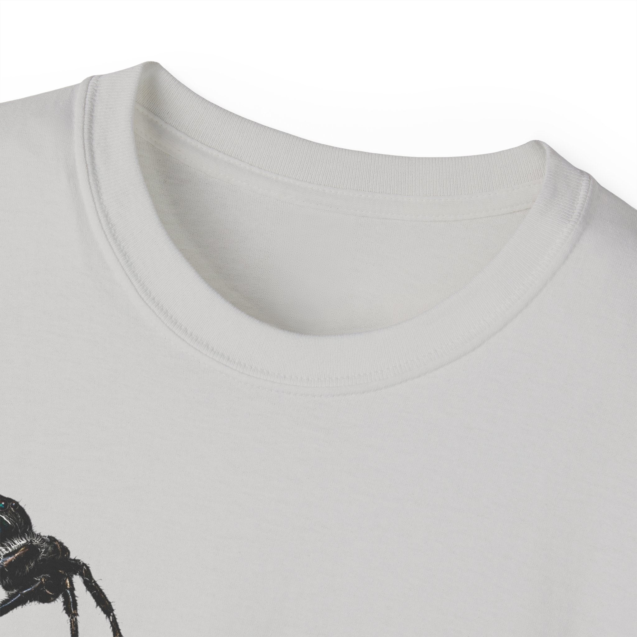 Spider Sketch Tee — Minimal Black Spider Graphic with 'Please Confirm' Text